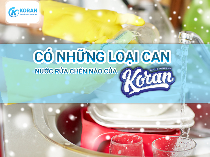 Có Những Loại Can Nước Rửa Chén Nào Của Koran